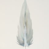 By Lacey MEDIUM FLOATED FRAMED FEATHER PAINTING SERIES 9 NO 2