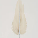 By Lacey SMALL FRAMED FLOATED FEATHER PAINTING SERIES 10 NO 2