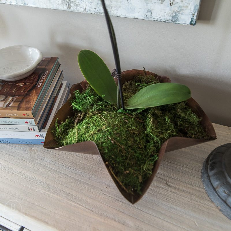 Copperworx ROUND FLOWER POT