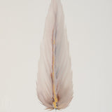 By Lacey LARGE FRAMED FLOATED FEATHER PAINTING SERIES 13 NO 2