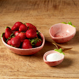 Creative Co-op STRAWBERRY HANDPAINTED NESTING BOWL