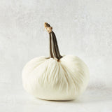 Hot Skwash SILK VELVET PUMPKIN Ivory 10"