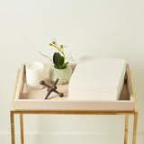 Park Hill Collection ST TROPEZ DECORATIVE TRAY