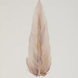 By Lacey LARGE FRAMED FLOATED FEATHER PAINTING SERIES 13 NO 7