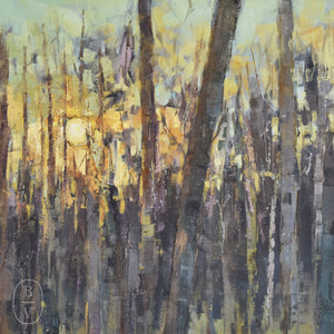 Allison Chambers MORNING LIGHT OUTBACK