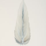 By Lacey MEDIUM FLOATED FRAMED FEATHER PAINTING SERIES 9 NO 1