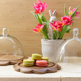 Mudpie SCALLOP CLOCHE SET