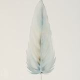 By Lacey MEDIUM FLOATED FRAMED FEATHER PAINTING SERIES 9 NO 3