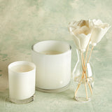B's Knees Fragrance Co. 3 WICK CANDLE