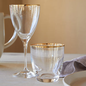 Casafina by Costa Nova SENSA WINE GLASS