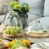 Europe 2 You GLASS DOME WITH WOOD BASE