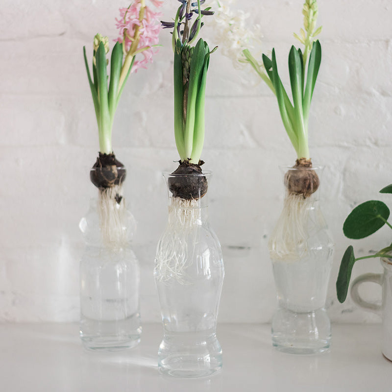 Europe 2 You CATALONIA CARAFE