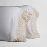 Bella Notte Linens MADERA LUXE PILLOWCASE WITH DONELLA LACE