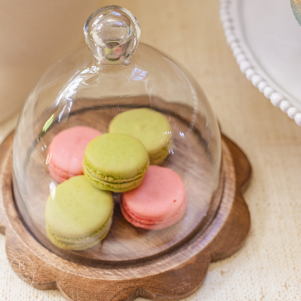 Mudpie SCALLOP CLOCHE SET
