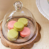 Mudpie SCALLOP CLOCHE SET