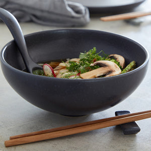 Casafina by Costa Nova PACIFICA RAMEN BOWL SET IN GIFT BOX Seed Grey