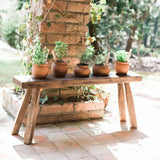 Europe 2 You FOUND PINE STABLE BENCH