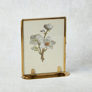 Creative Co-op GLASS STANDING PHOTO FRAMED Brass 5x7 Vertical