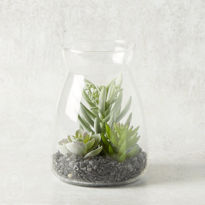 K and K Interiors SUCCULENT IN GLASS JAR I