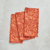 Geometry CORAL SWIRLS DISHCLOTH SET OF 3