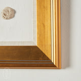 Laura Petka Fine Art THE PETIT COLLECTION 1