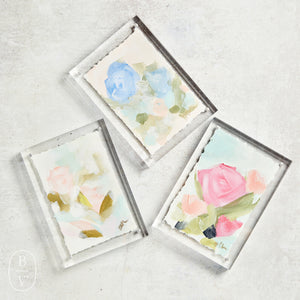 Haley Farris Fine Art ACRYLIC FRAME FLORAL 5 X 7