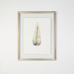 By Lacey MEDIUM FLOATED FRAMED FEATHER SERIES 12 NO 3