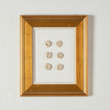 Laura Petka Fine Art THE PETIT COLLECTION 1