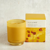 Illume BOXED GLASS CANDLE Rhubarb Honey
