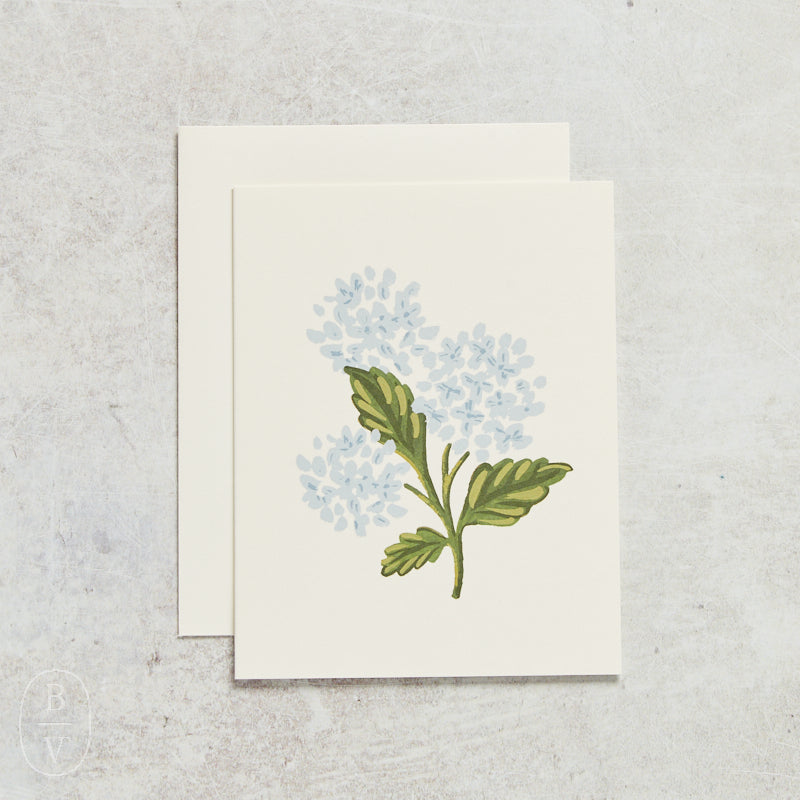 Rifle Paper Co HYDRANGEA BLOOM CARD