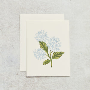 Rifle Paper Co HYDRANGEA BLOOM CARD