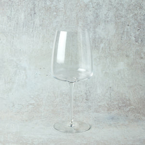 Casafina by Costa Nova VINE WATER GLASS Clear