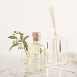 Antica Farmacista DIFFUSER DECANTER