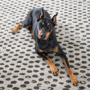 Dash and Albert HUGO HAND KNOTTED WOOL RUG