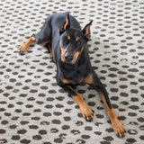 Dash and Albert HUGO HAND KNOTTED WOOL RUG