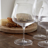 Casafina by Costa Nova VITE BURGUNDY GLASS