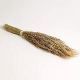 Creative Co-op DRIED NATURAL STAR GRASS BUNCH