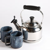 Le Creuset STAINLESS STEEL DEMI KETTLE
