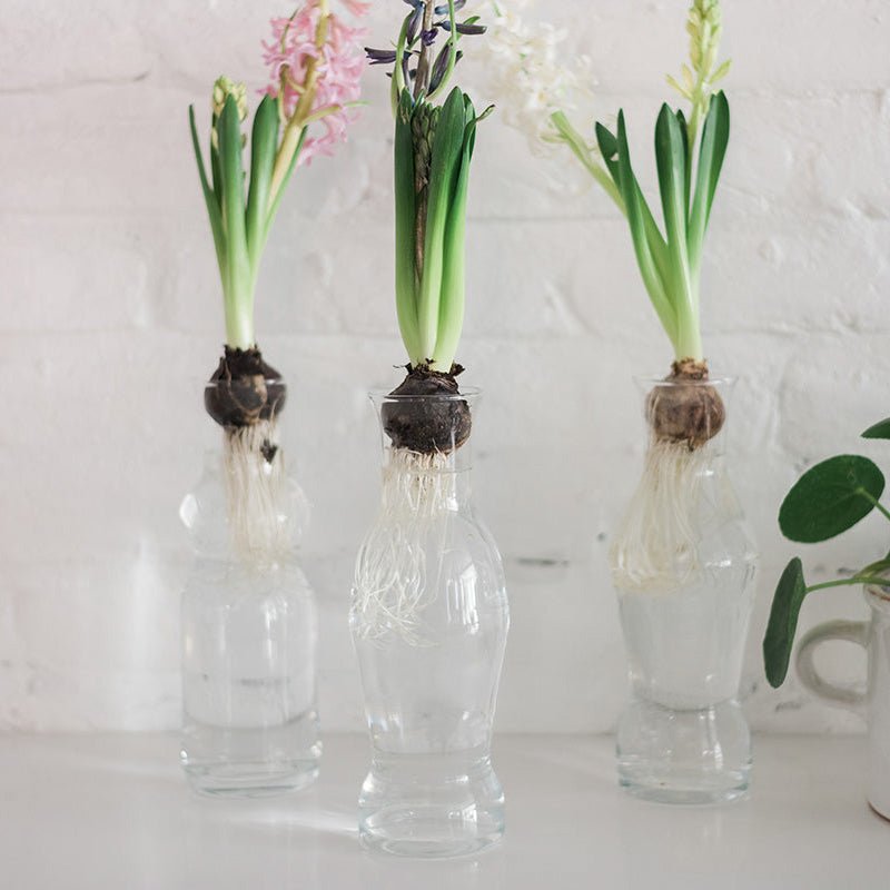 Europe 2 You CATALONIA CARAFE