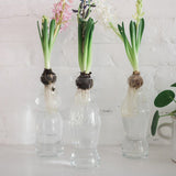 Europe 2 You CATALONIA CARAFE