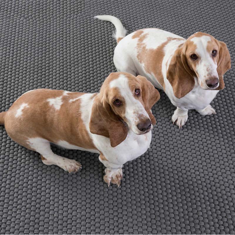 Dash and Albert ROPE INDOOR/OUTDOOR RUG