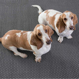 Dash and Albert ROPE INDOOR/OUTDOOR RUG