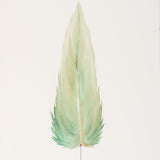 By Lacey MEDIUM FLOATED FRAMED FEATHER PAINTING - SERIES 10 NO 6