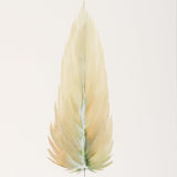 By Lacey MEDIUM FLOATED FRAMED FEATHER PAINTING - SERIES 10 NO 1
