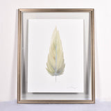 By Lacey MEDIUM FLOATED FRAMED FEATHER PAINTING - SERIES 11 NO 6