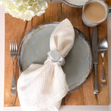 Casafina by Costa Nova CASCATA NAPKIN Fog