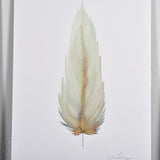 By Lacey MEDIUM FLOATED FRAMED FEATHER PAINTING - SERIES 11 NO 3