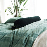Bella Notte Linens LOULAH THROW PILLOW