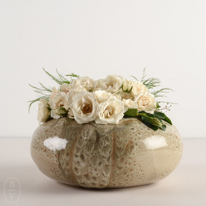 Alex Marshall Studios PLANTER Speckled Brown