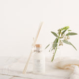 Antica Farmacista HOME AMBIANCE DIFFUSER Lush Palm